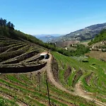 Quinta Da Ribeira 招待所 比索达雷加