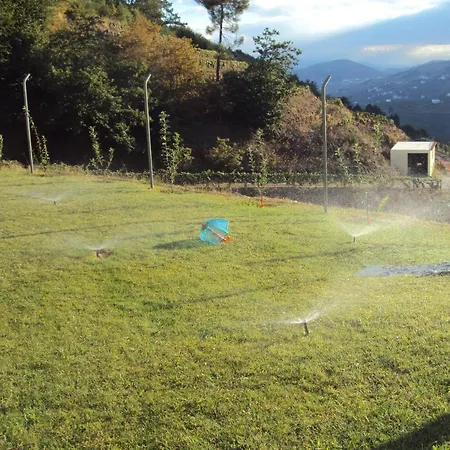 Quinta Da Ribeira Gasthof *