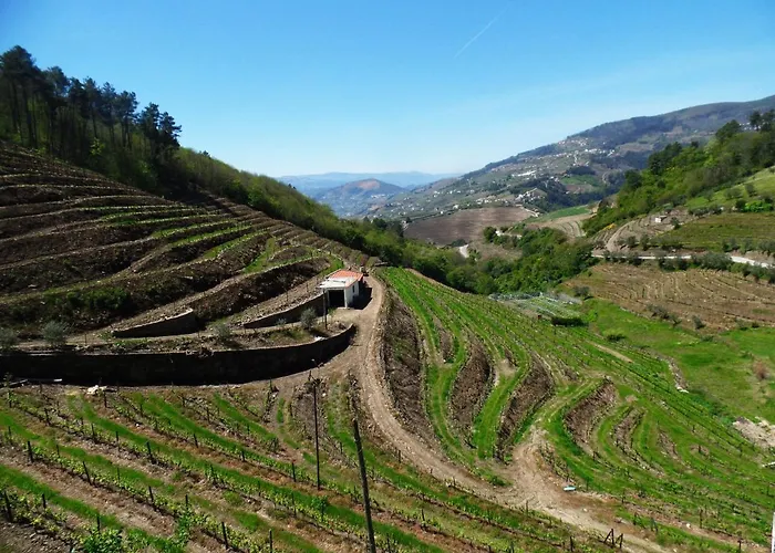 Quinta Da Ribeira Gasthof Peso da Régua